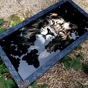 Нарды под стеклом «Лев» в подарок — фотография 1