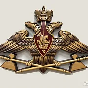 Резной герб МТО ВС РФ из бука — красивый подарок — фотография 1