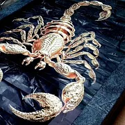 На память: Нарды под стеклом «Золотой скорпион» — фотография 4